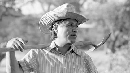 César Chávez (1927-1993), fundó junto a Dolores Huerta el sindicato Unión de Campesinos en 1962 y, como trabajador del campo estadounidense de origen mexicano, se convirtió en el más reconocido activista de los derechos civiles