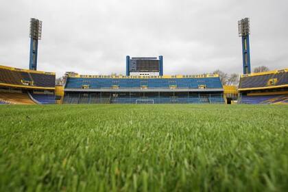 Césped cortito, como solicitó Diego