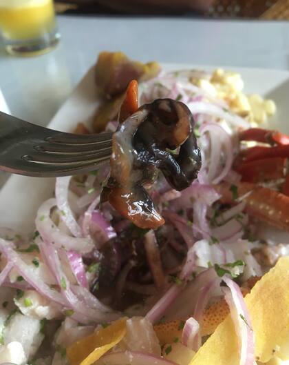 Ceviche con conchas negras, el plato típico de la zona norte de Perú