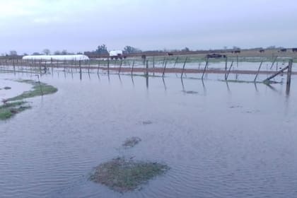 Chacabuco fue otro de los partidos con registros muy elevados