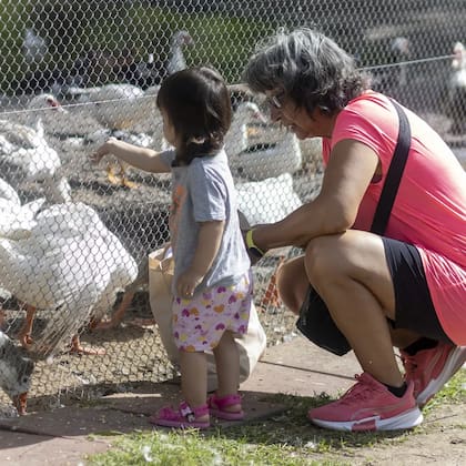 Chacra Educativa San isidro Labrador