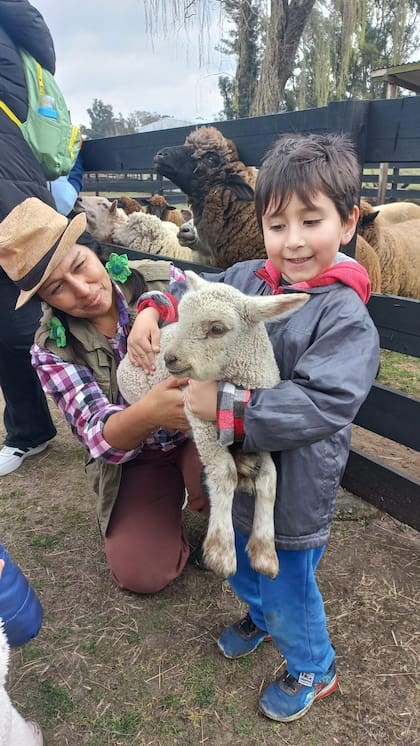 Chacra Los Cardales en Exaltación de la Cruz
