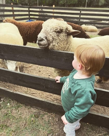 Chacra Los Cardales en Exaltación de la Cruz