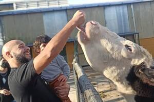 Chacra San Isidro Labrador