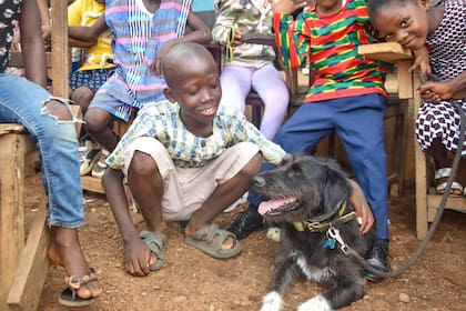 Chai llegó a Roberto en India, donde se quedó casi un año y medio (Foto: Gentileza Roberto Sastre)