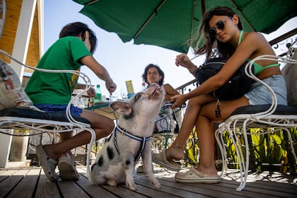 Chanchi y su familia en el parador Atlántico, donde ya es conocido por todos los que tienen carpas allí
