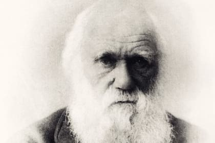 Charles Darwin