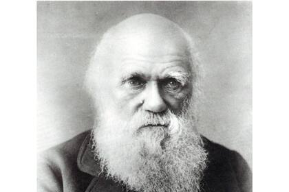 Charles Darwin, el hombre cuya teoría de la evolución por selección natural nos hizo repensar nuestro lugar en el mundo