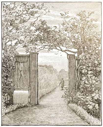 Charles Darwin en el jardín de Down House, c. 1870, donde pasaba mucho tiempo paseando y reflexionando. Fue en en esa casa donde vivió 40 años y escribió sus obras más importantes, entre ellas "El origen de las especies por medio de la selección natural" (1859)
