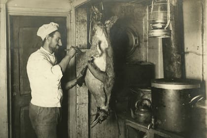 Charles Green, el cocinero desollando un pingüino durante la Expedición Imperial Transantártica, 1914-17, dirigida por Ernest Shackleton. (Foto de Frank Hurley/Scott Polar Research Institute, Universidad de Cambridge/Getty Images)