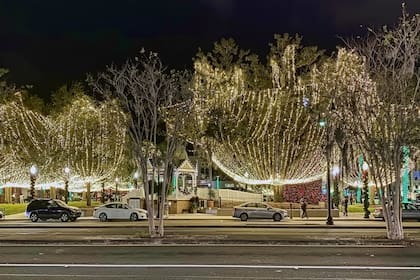 ChatGPT señala que Ocala combina un entorno natural con costos bajos en vivienda y transporte (Flickr)