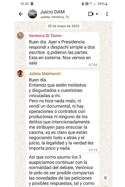 chats de la jueza Julieta Makintach y sus colega