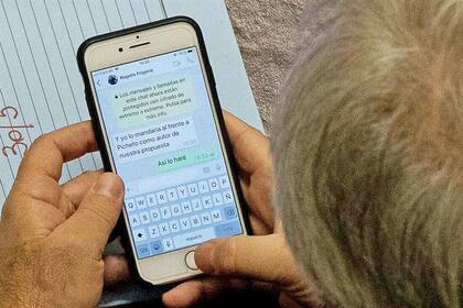 El oficialista Pinedo fue captado cuando chateaba con Frigerio sobre Pichetto