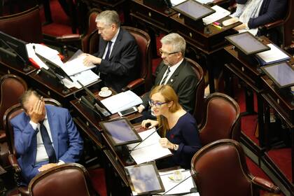 Anabel Fernández Sagasti durante su discurso