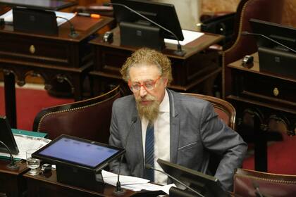 Alfredo Luenzo del interbloque peronista Argentina Federal