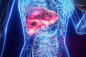 Los mejores alimentos para limpiar el cuerpo de forma natural, según especialistas