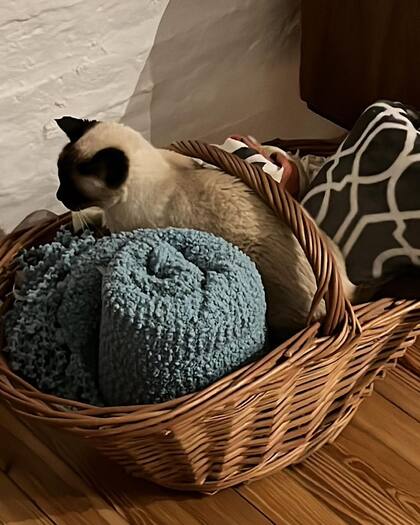 "Chave" tenía 21 años (Foto: Instagram @mguinzburg)