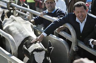 Los negocios espurios entre los Kirchner y Chávez que tuvieron impacto en el agro argentino