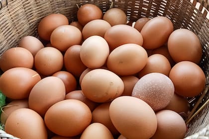 ¿Cuánto tiempo duran los huevos crudos o cocidos?