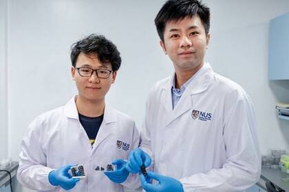 Chen Po-Yen (der.), profesor asistente de la Universidad Nacional de Singapur y el estudiante de doctorado Yang Haitao desarrollaron con el equipo de investigadores el material metálico flexible, resistente y liviano