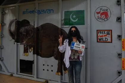 Cher fue a despedir al elefante cuando salía de Pakistán y también lo recibió en el aeropuerto camboyano de Siem Reap (foto)