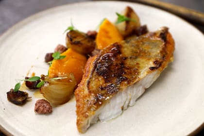 Chernia con pure de boniati y garrapiñadas