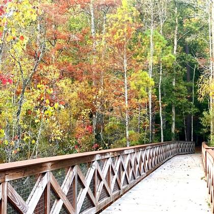 Chesepeake, en Virginia, es una ciudad rodeada de naturaleza