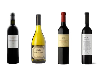 Cheval des Andes; El Enemigo Chardonnay; Adrianna Vineyard River Stones Malbec e Iscay Malbec Cabernet Franc, algunos de los "vinos del año"