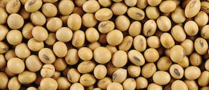 Chicago se mueve al ritmo de los fondos con la volatilidad como escenario de fondo