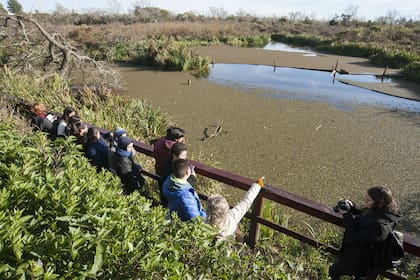 Chicos de colegios secundarios recorren la ribera