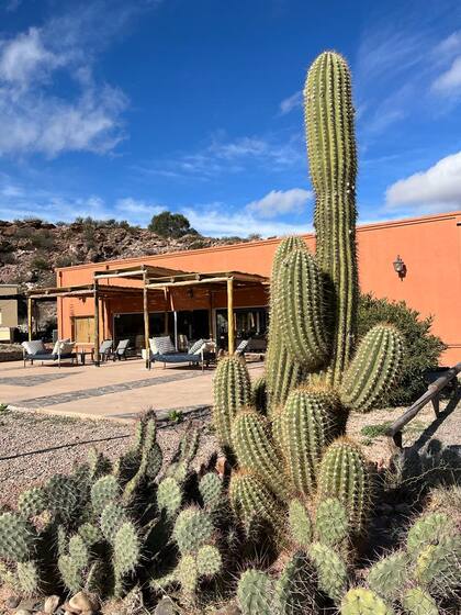 Chiflón Posta Pueblo, una propuesta a medio camino entre Talampaya e Ischigualasto.