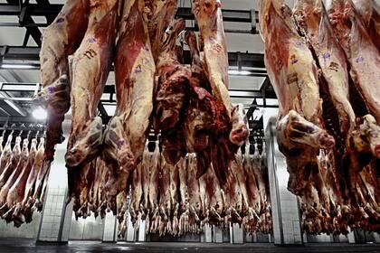 La merma interanual de la faena, que rondaba el 10% hasta junio pasado, se redujo al 3% en los últimos dos meses, llevando la caída acumulada en los primeros ocho meses de 2024 al 8,6%