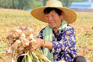 La fascinante historia del ajo y cuáles son sus propiedades medicinales