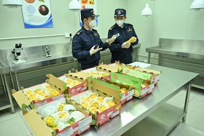 China es el principal comprador de productos ecuatorianos no petroleros.