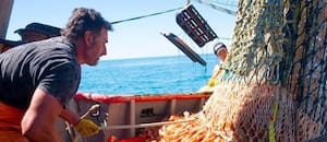 La pesca volvió a superar los US$2000 millones en exportaciones