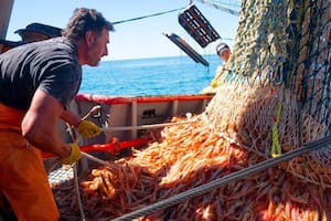 La pesca volvió a superar los US$2000 millones en exportaciones