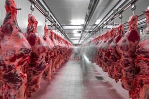 Se reanudó la producción de carne kosher para Estados Unidos de uno de los frigoríficos más grandes del país