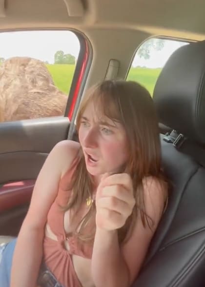 Chloe no podía creer lo que veía dentro de su auto: un avestruz