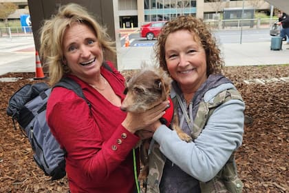 Choco caminó hasta Michigan antes de ser recuperado por su dueña en California