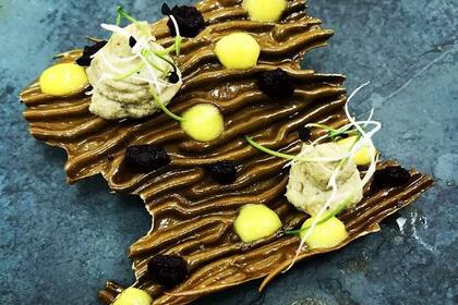 Cholgas y cachiyuyos en Kalma.