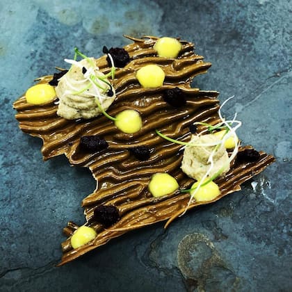 Cholgas y cachiyuyos en Kalma, Ushuaia.