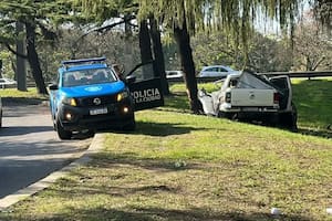 Perdió el control de su camioneta, impactó contra un árbol y murió