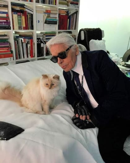 Choupette junto al diseñador de moda Karl Lagerfeld
(Foto/Instagram: @choupetteofficiel)
