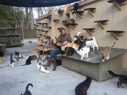 Chris Arsenault construyó un refugio en Nueva York donde llegó a albergar a 300 gatos