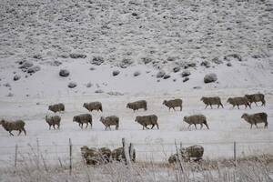 Trabajan a temperaturas extremas y no tienen calefacción ni teléfono