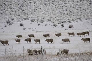 Trabajan a temperaturas extremas y no tienen calefacción ni teléfono
