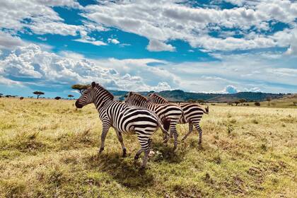 “Cuando llegás a África todo cobra dimensión: de repente ves lo que realmente importa”