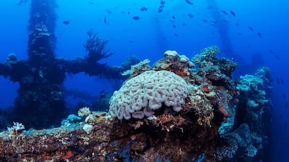 Chuuk Lagoon, Micronesia.