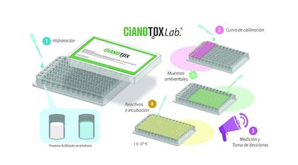 Cianotox Lab es el kit para medir la cantidad de cianobacterias en el agua; el costo es de 125 dólares, contra los 1000 dólares que sale el modelo importado