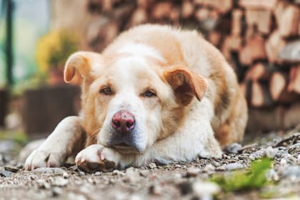 Ciberataque en 2022 dejó sin operar el registro por más de un año, lo que reveló falencias en el sistema